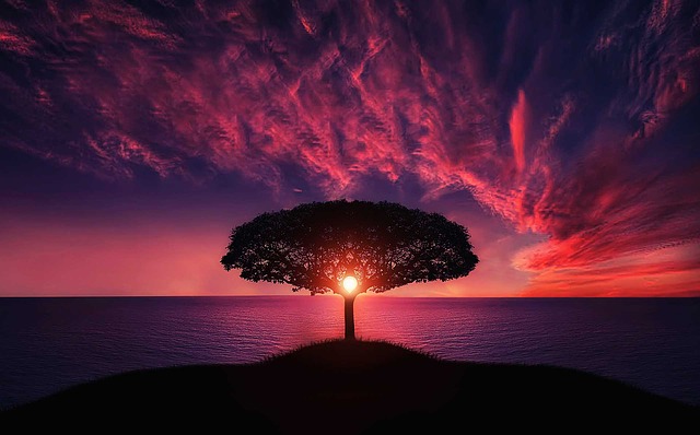 Vue EventBus事件总线的使用及注意事项
